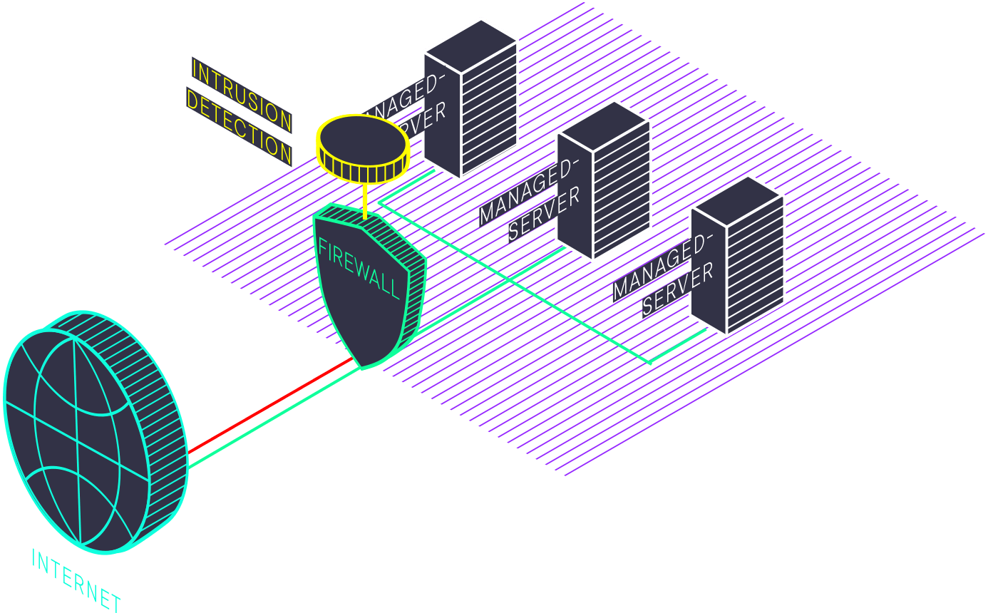 Diagram: attack detection and prevention by IDS and IPS in front of the customer systems